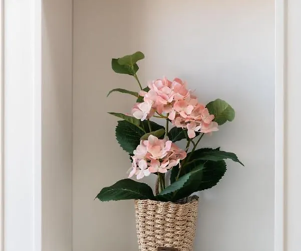 White Elegance With Ac & Free Garage By Renters Apartment Posen